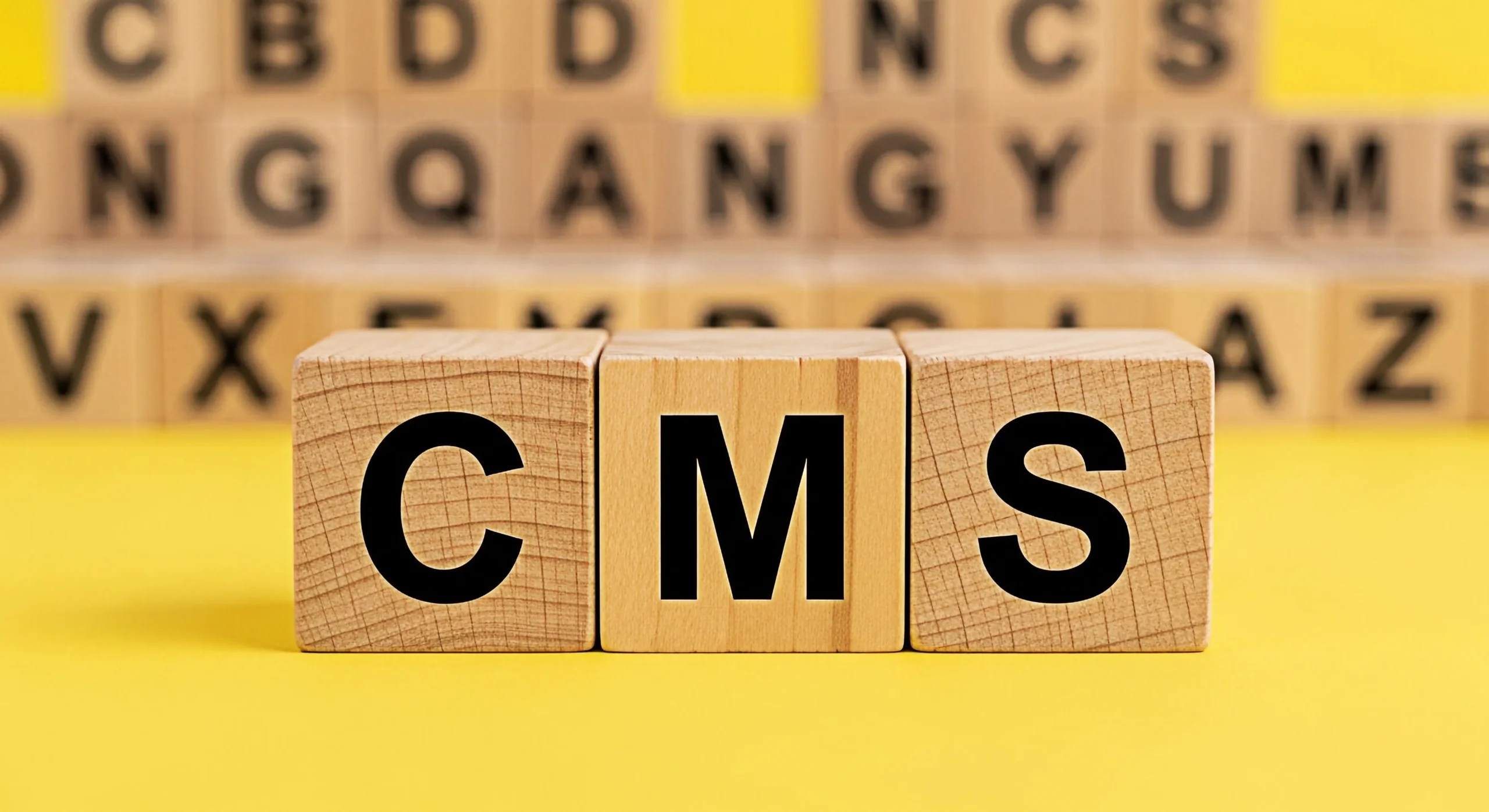 Content Management für digitale Inhalte